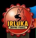 banner_irluka